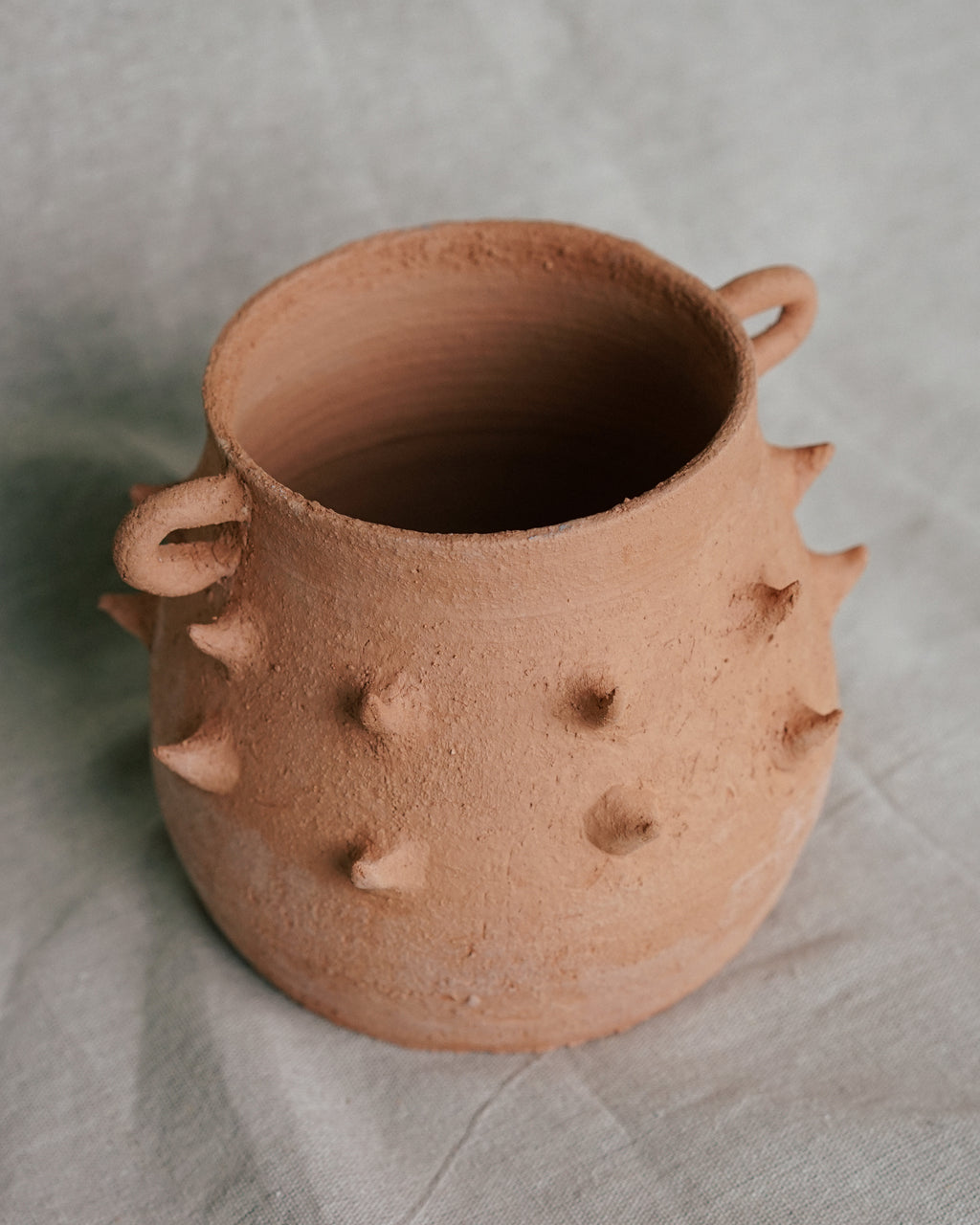 Terracotta Spike Belly Pot