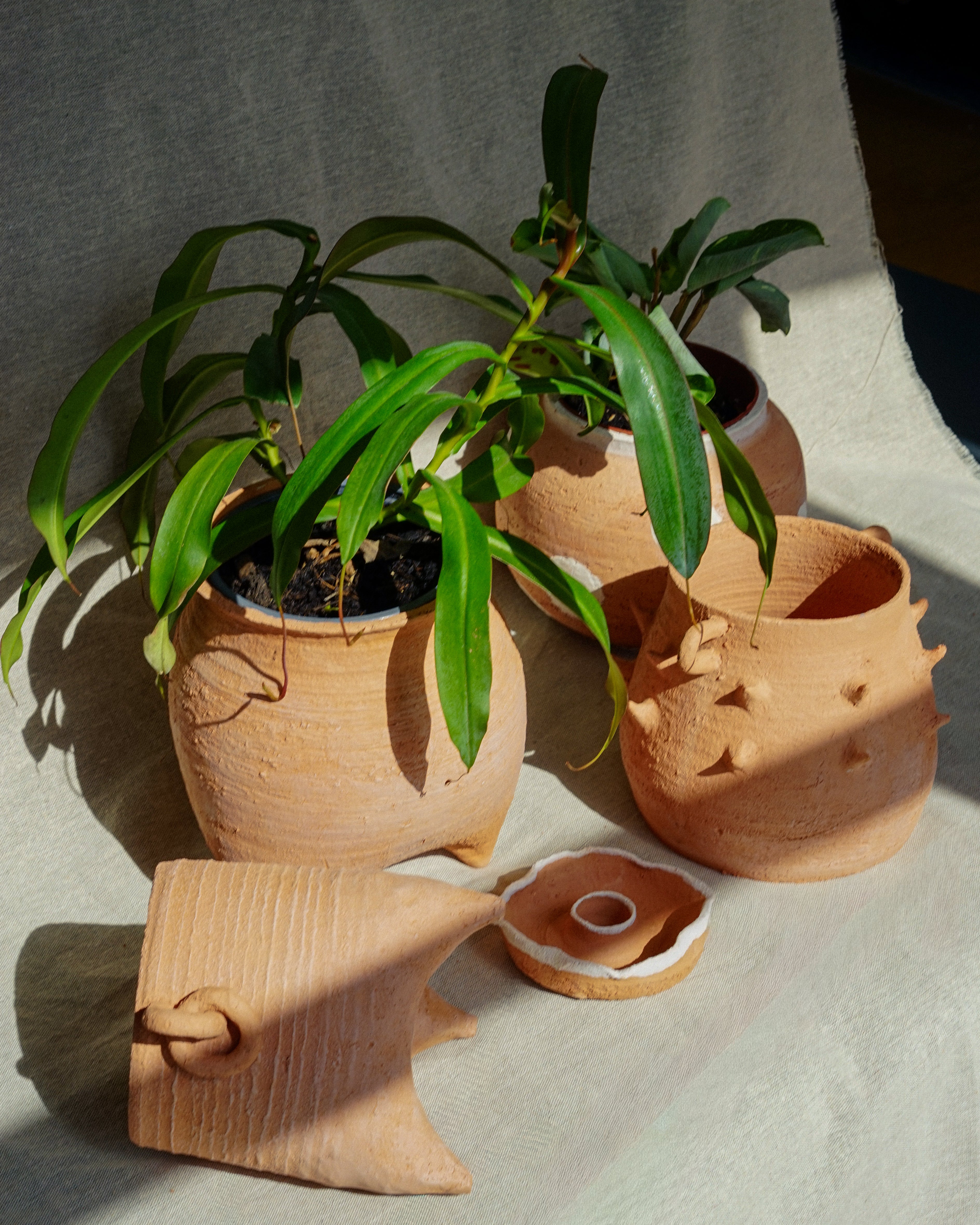 Terracotta Dot Belly Pot