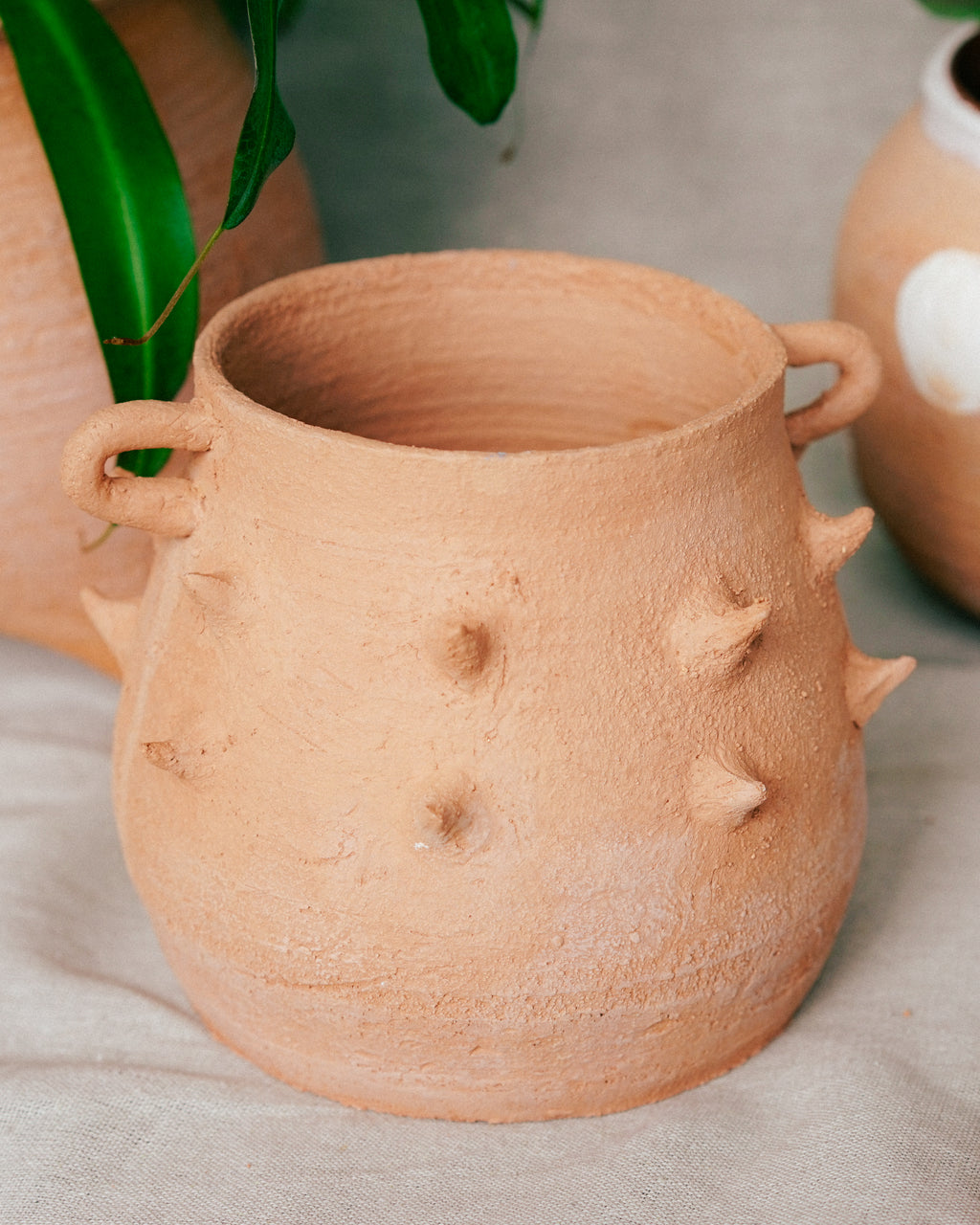 Terracotta Spike Belly Pot