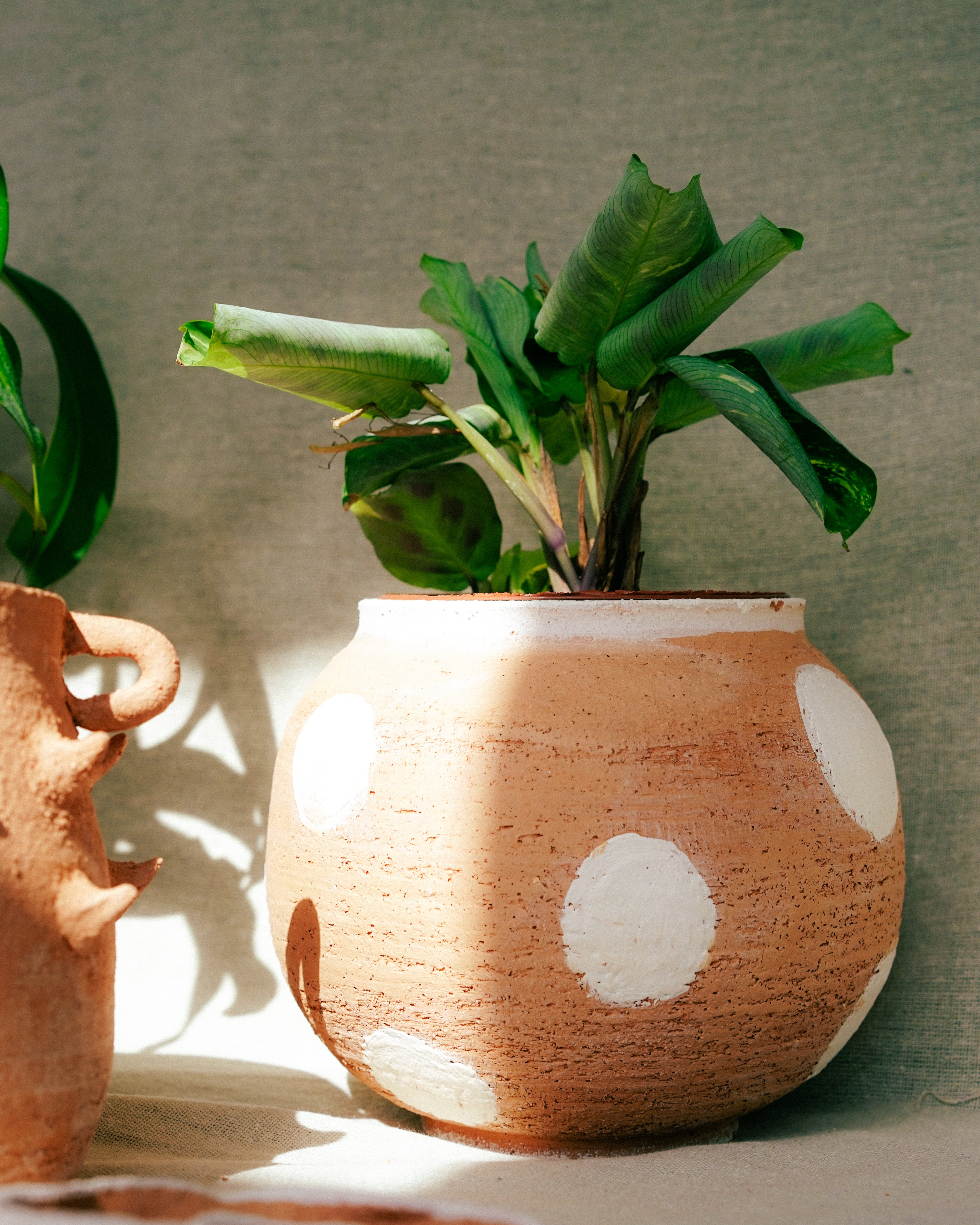 Terracotta Dot Belly Pot