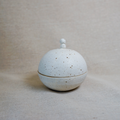Small Lidded Object
